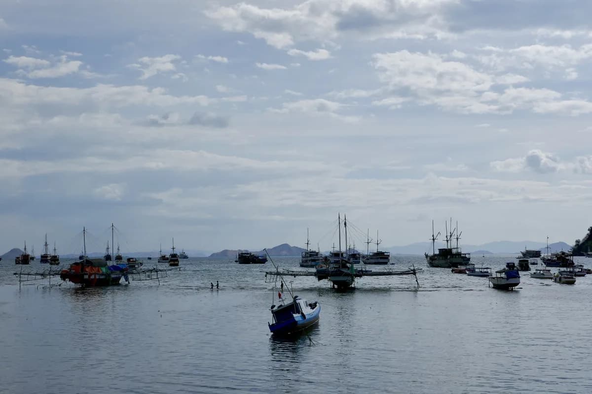 Hotel pick-up & transfer to harbor